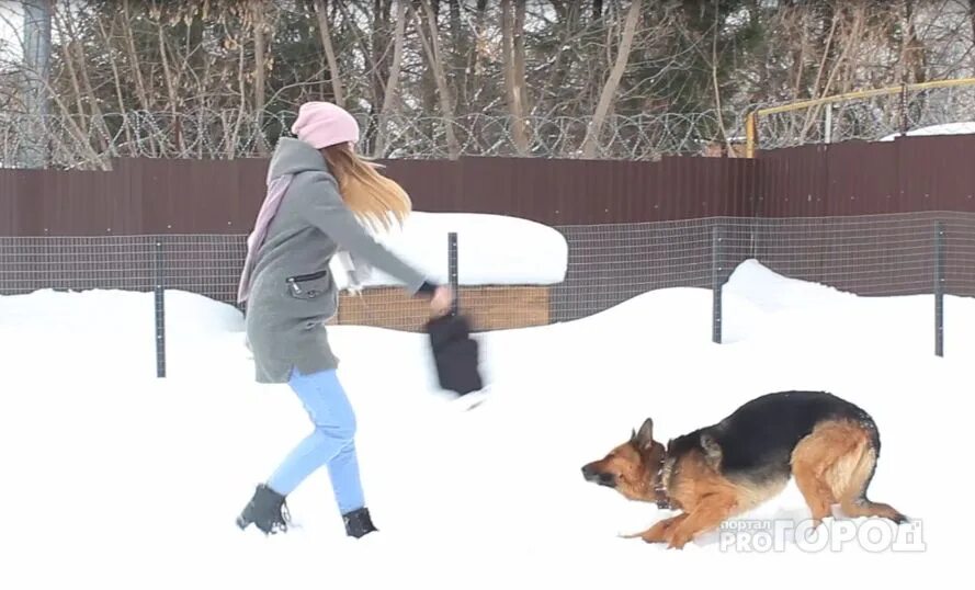 Случаи нападение собаки. Собаки нападают на девушку.