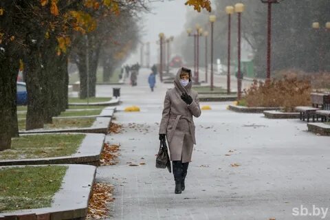 Деревья недавно потерявшие свои желтые одежды получили