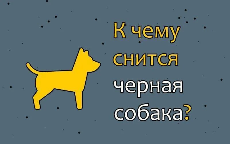 К чему снится собака. К чему снится собака во сне. Приснилась собака к чему. Что снится собакам.