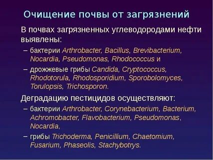 Очистка почвы