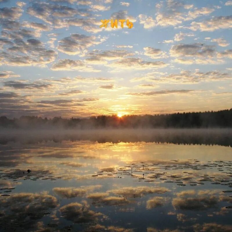 Китеж это. Озеро Китеж Нижегородская область. Озеро Светлояр Китеж. Светлояр Нижегородская область. Озеро Светлояр Нижегородская область.