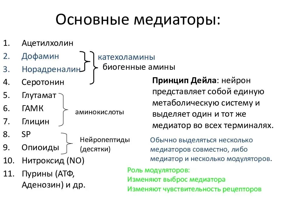 Нейромедиаторы классификация функции. Основные медиаторы и их функции. Медиаторы головного мозга функции. Нейромедиаторы классификация таблица. Серотонин медиатор