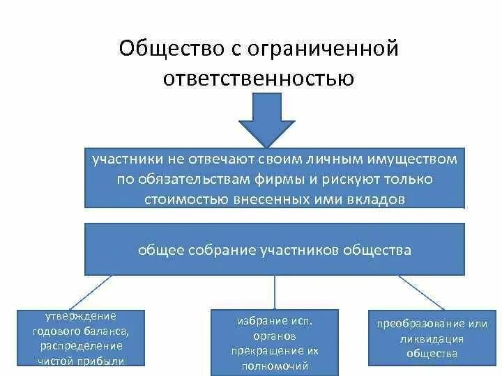 Образовательное общество с ограниченной ответственностью