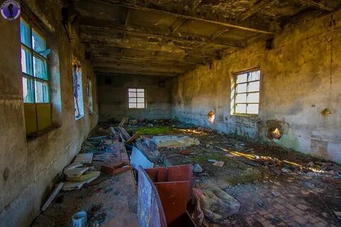 Новосибирск аэропорт рубцовск