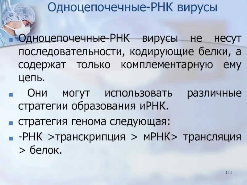 Минус рнк вирусы. Одноцепочечный РНК-содержащий вирус. Одноцепочечные РНК вирусы. Одноцепочечные ДНК вирусы. Вирусы, содержащие одноцепочечную (+)РНК примеры.