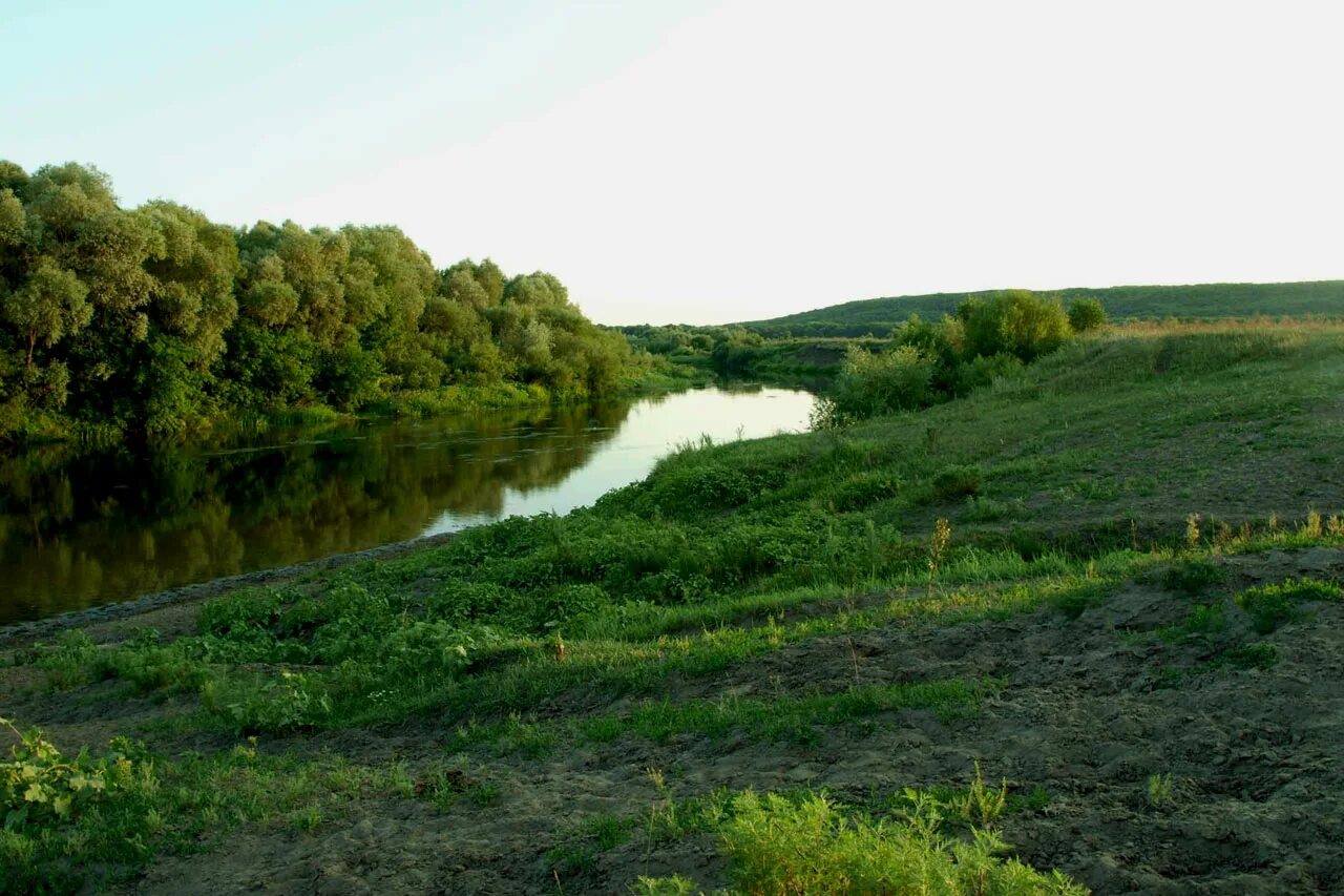 Погода в перевесинке. Река Хопер Саратовская область. Река Хопер Поворино. Река Хопер Турковский район. Урюпинск Хопер.