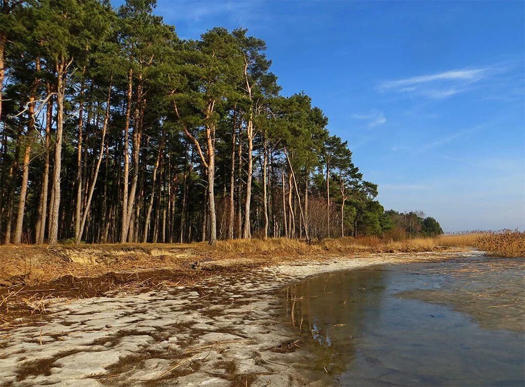 борское калининград