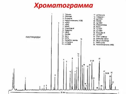Хроматограмма