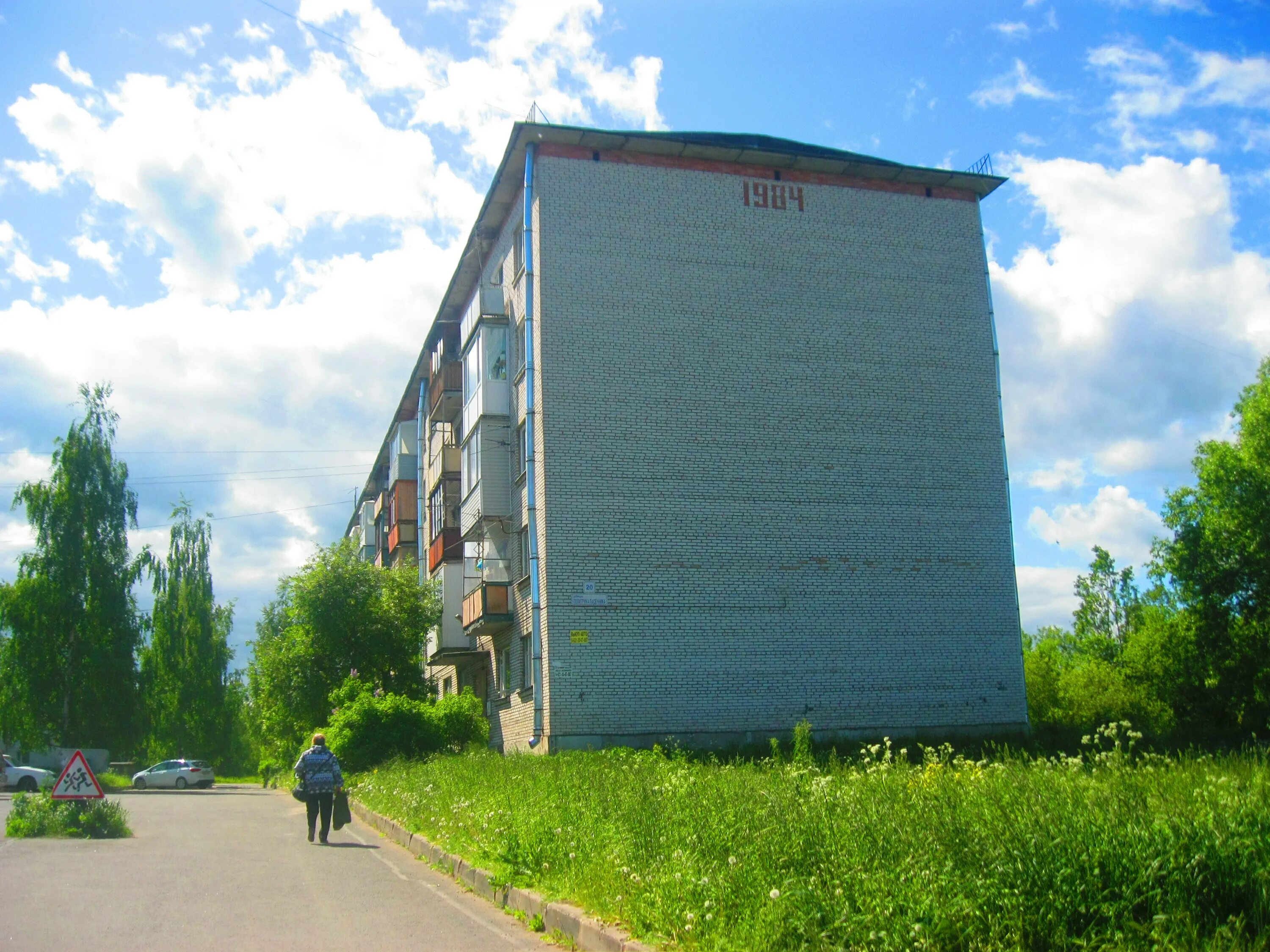 Санкт петербург политрука пасечника. Санкт-Петербург политрука Пасечника дом2. Торики ул. политрука Пасечника, д.39. Улица политрука Пасечника.