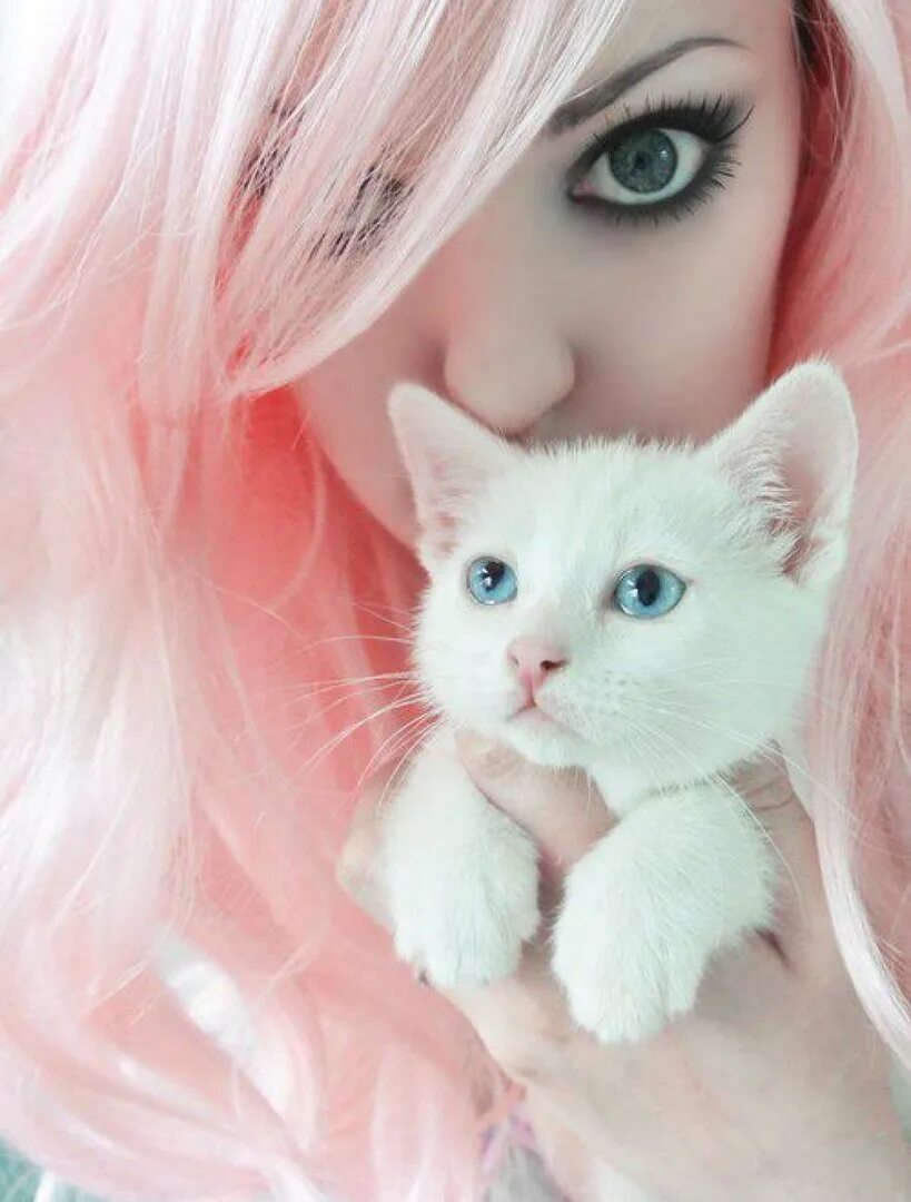 Красивые фоточки на аватарку. Милая киса. Девушка кошечка. Красивая девушка с котиком.
