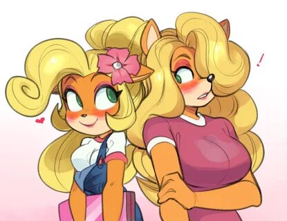 Crash tawna