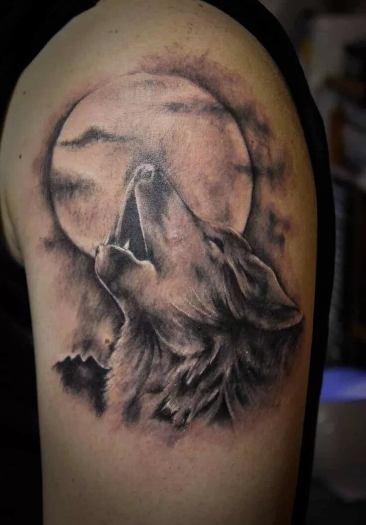 Pin by Shelley Hunt on Tats Wolf tattoo design, Wolf tattoo forearm, Cool forear