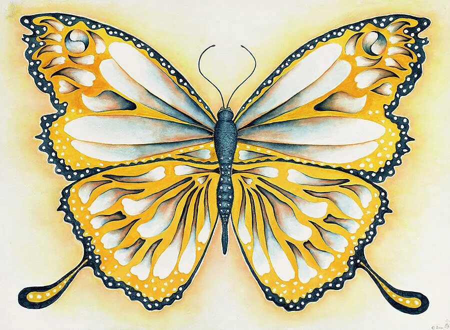 Золотые бабочки и капли на черном фоне. Голден баттерфляй. Золотая бабочка. Сверкающие бабочки. Черно золотые обои с бабочкой.