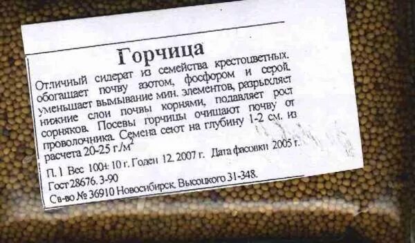 Сидерат горчица как правильно использовать. Горчица сидерат этикетка. семена горчицы для посадки. горчица семена сидерат. этикетки для семян.