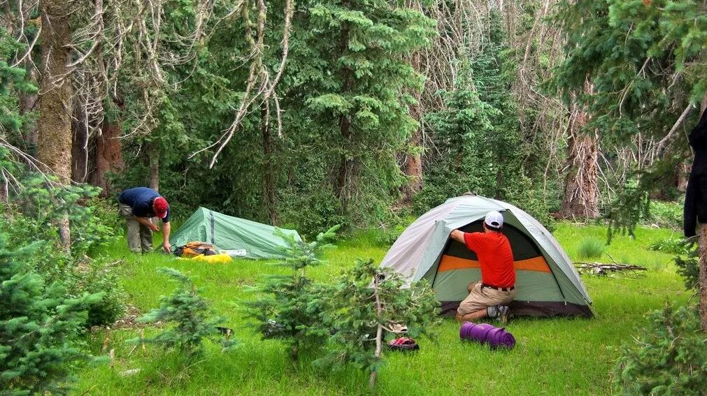 место для отдыха на природе. лагерь туристов в лесу. место отдыха человека от людей. место отдыха в лесу. люди отдыхают на природе.