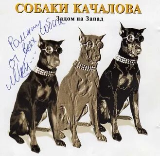 Собаке качалова