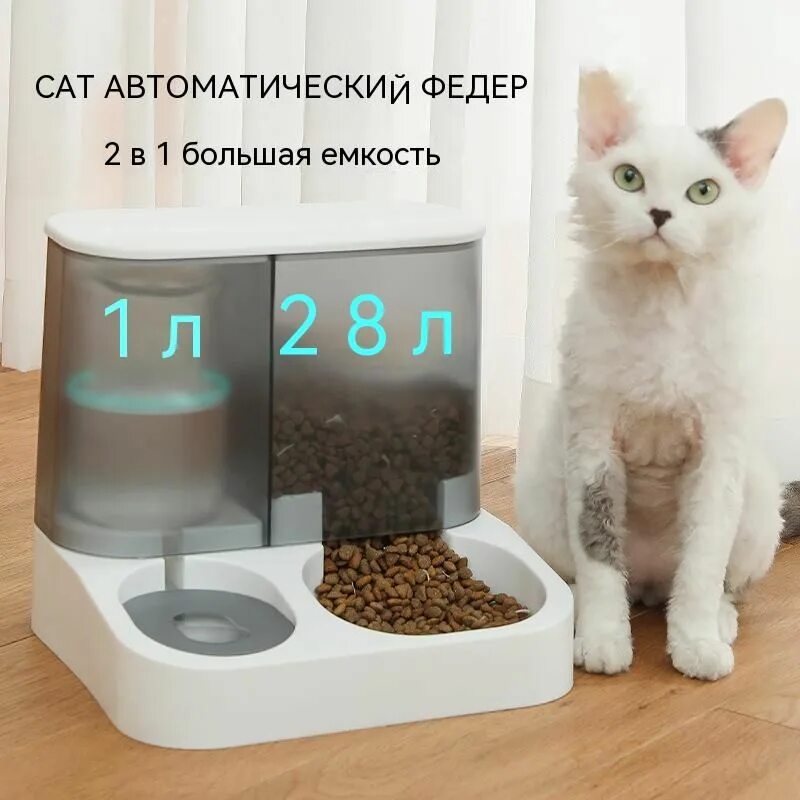 Дозатор для кошек с таймером. Как сделать диспенсер для кошек.