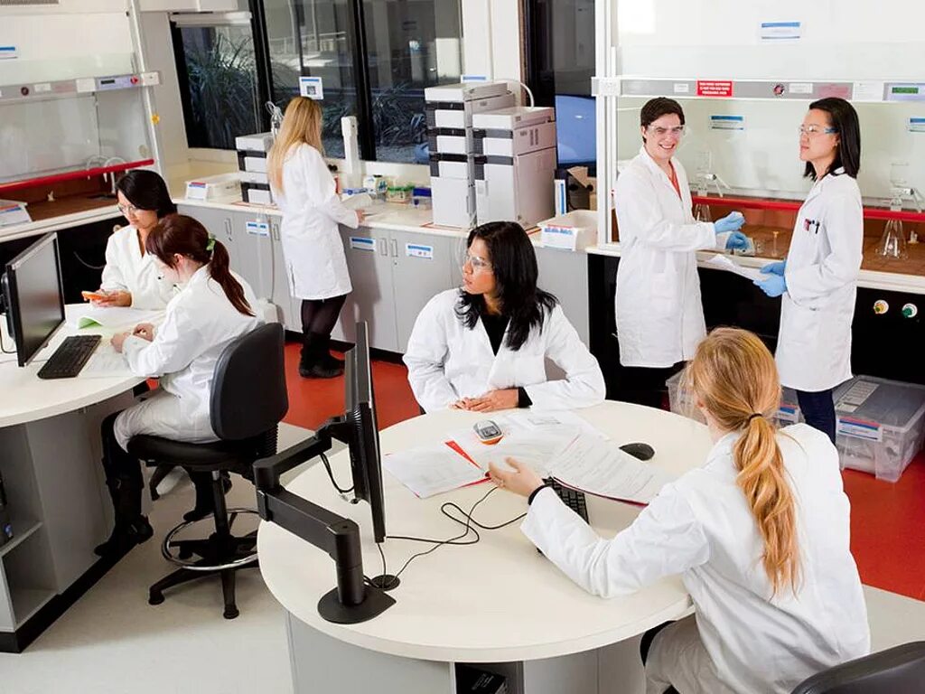 Колледж цинциннати. Pharmacy university. Pharmacy university. Лекция для врачей. Faculty of pediatry.
