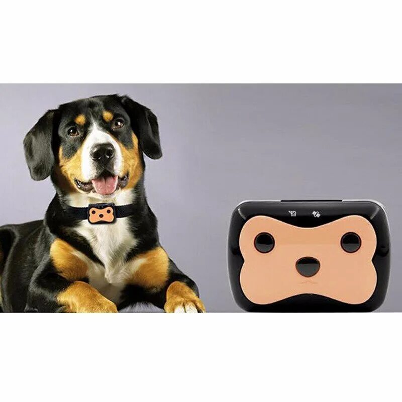 Gps ошейник "dog x30t". умный ошейник для собак. умный gps трекер для собак. Pet gps tracker. Gps трекер tk-909 для животных.