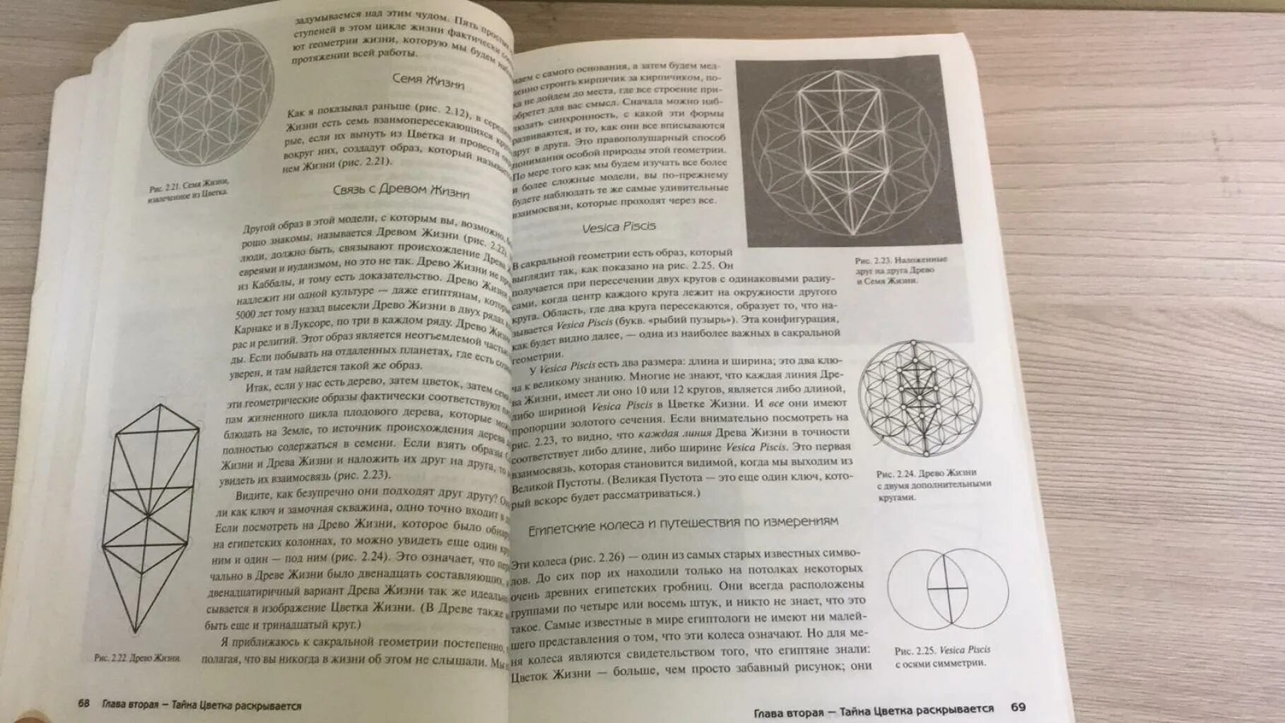 Тайны цветка жизни друнвало мельхиседек. Древняя тайна цветка жизни. Друнвало мехилсидек.. Цветок жизни книга Мельхиседек Друнвало. Друнвало, Мельхиседек: древняя тайна цветка жизни. В 2 томах. Сакральная геометрия древняя тайна цветка жизни Мельхиседек.