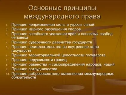 Общие правовые принципы это