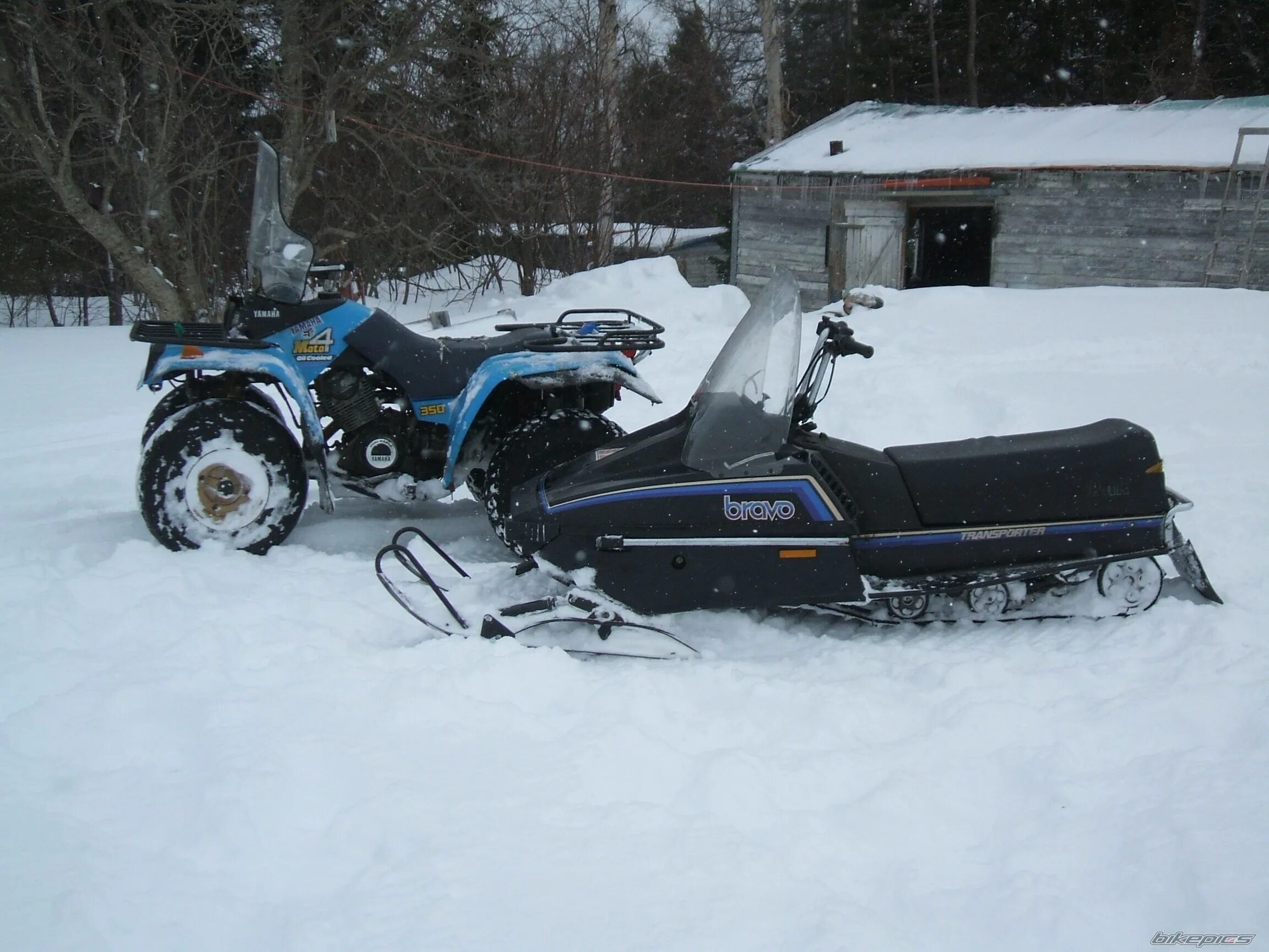 Yamaha Bravo 250. Yamaha Bravo 250t. Снегоход Ямаха Браво. Ямаха Браво 500. Ямаха браво 250 купить