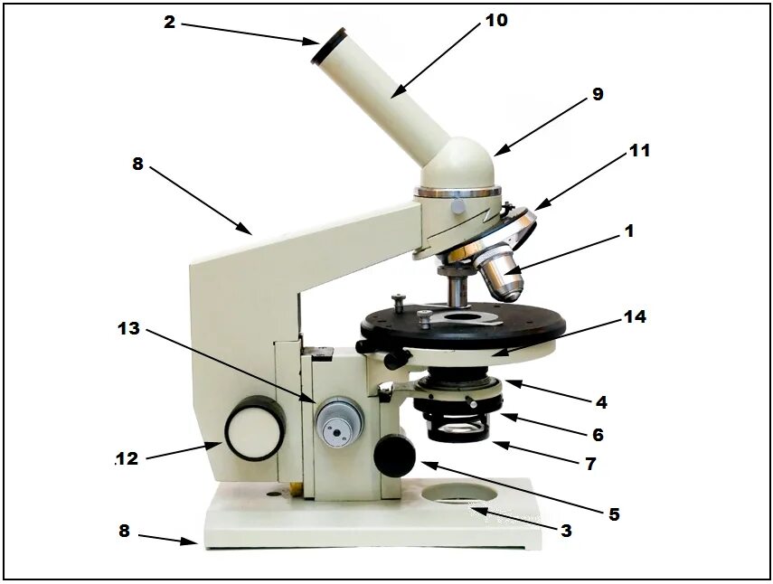 Какую функцию выполняет основание микроскопа при работе. Микроскоп Биолам ЛОМО. Световой микроскоп микробиология строение. Световой микроскоп строение. Микроскоп ЛОМО Биолам ау 12.