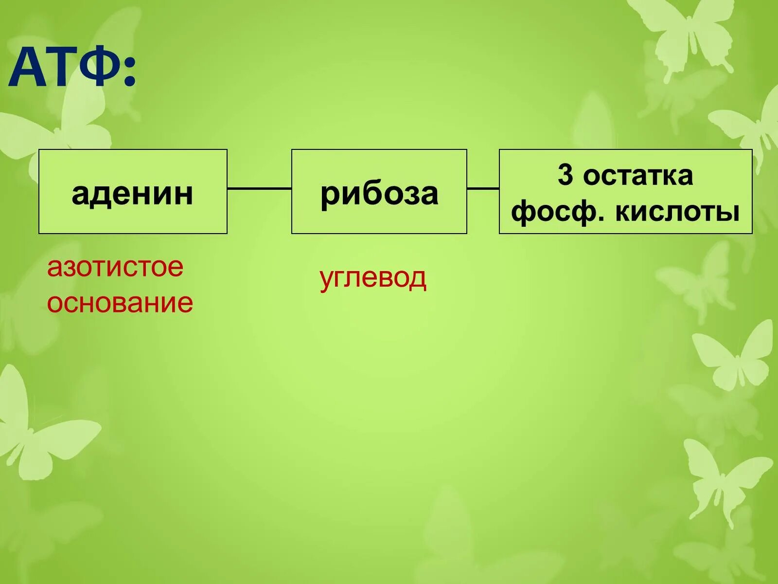 Азотистое основание рибоза. Строение АТФ азотистое основание углевод кислота. Какие бывают азотистые основания. Азотистое основание и азотистый остаток.