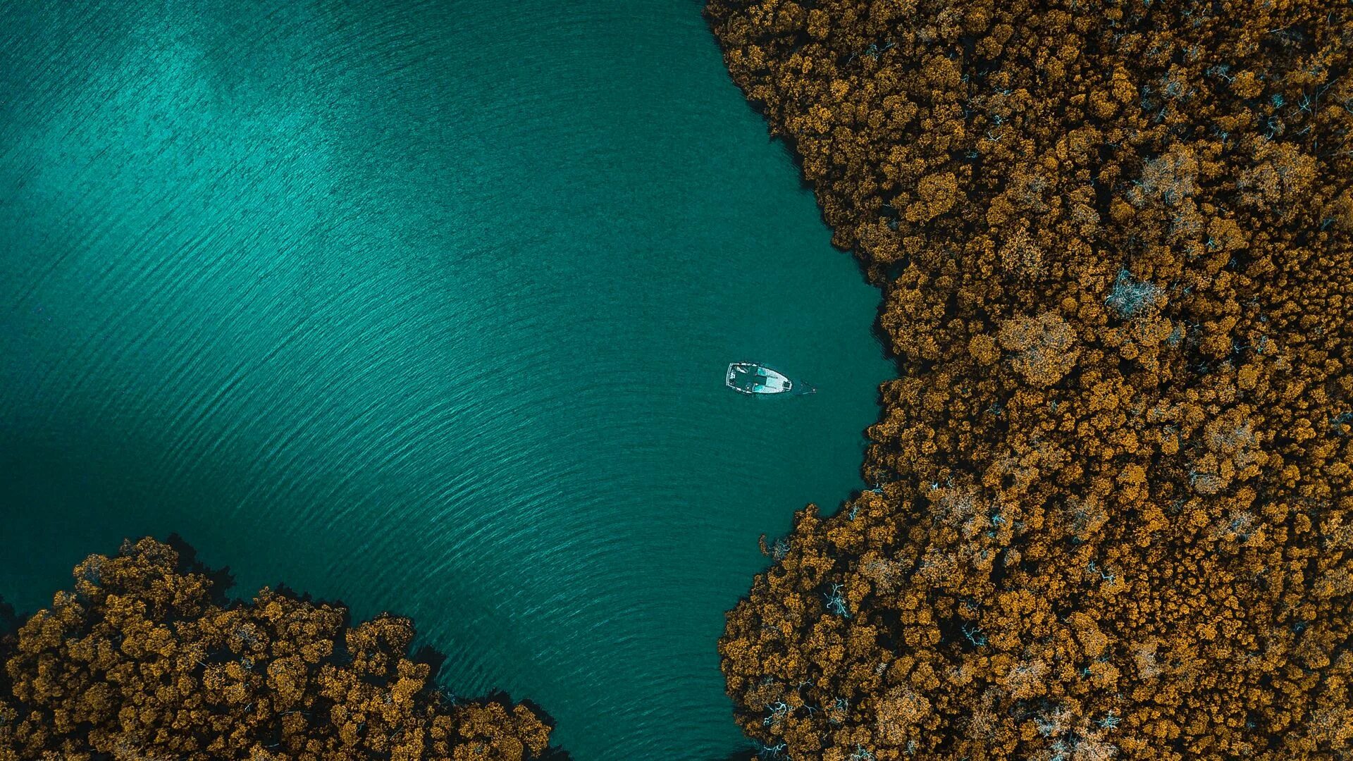 Океан вид сверху. Море сверху. Море вид сверху. Озеро вид сверху.