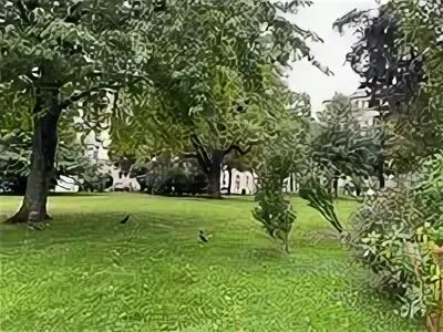 The park is situated. The park is situated
