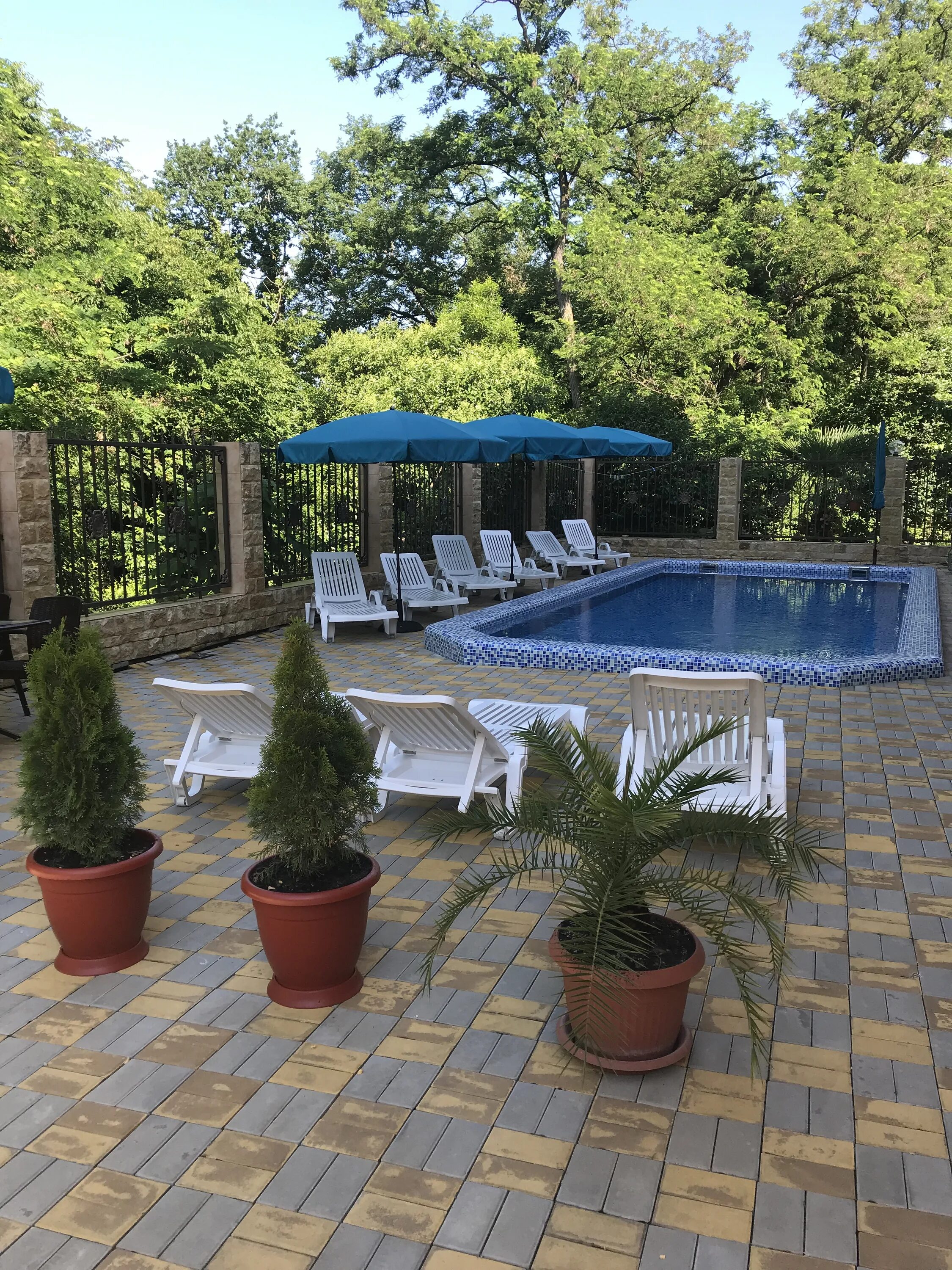 адлер гостиницы на белых акаций. гостевой дом акация адлер. ленина 153 сочи гостевой дом акация фото. гостевой дом белая акация адлер. гостевой дом акация.