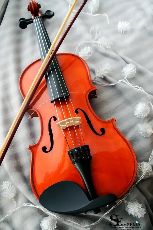 Скрипка л. Скрипка. Красивая скрипка. Скрипка вертикальная. Самые красивые скрипки.