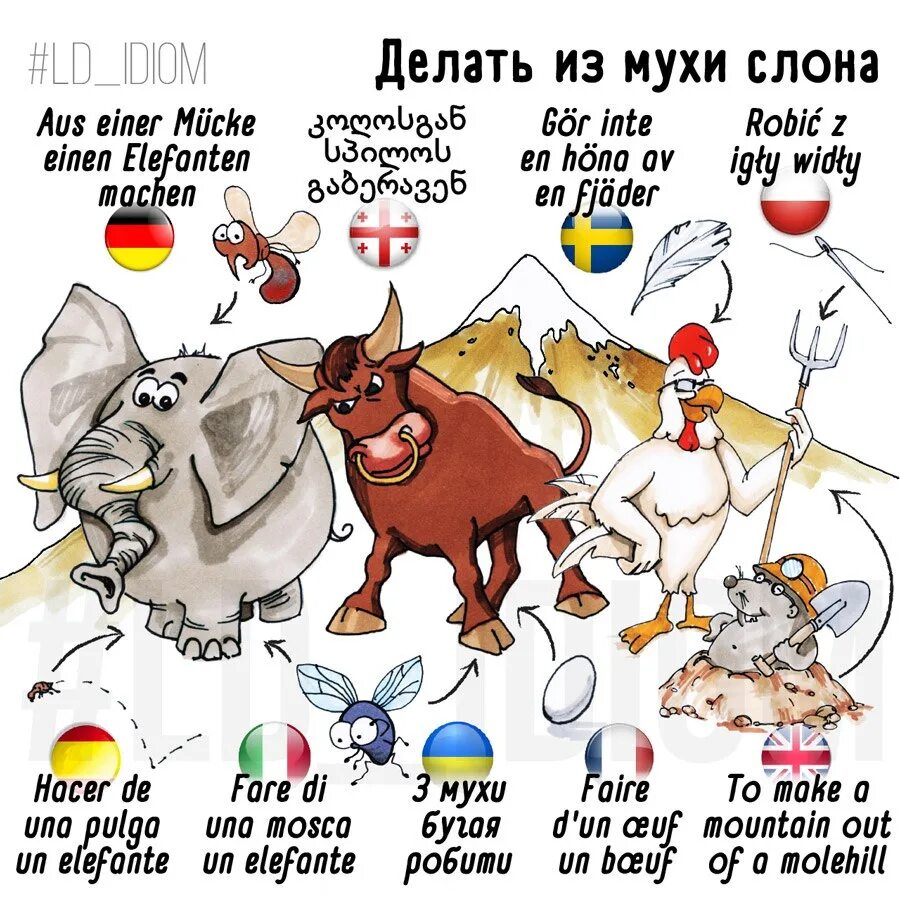 Муха слон. Из мухи слона фразеологизм. Из слона в муху. Муха слон на английском. Раздувать из мухи слона.