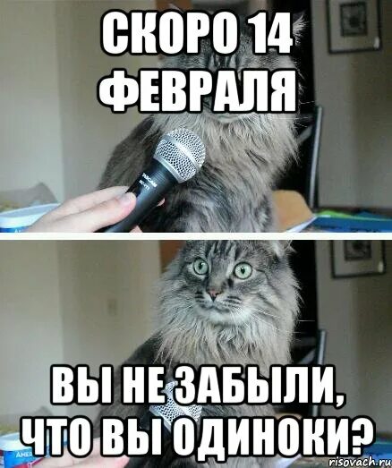 Мем февраль. Скоро 14 февраля. мемы на 14 февраля для одиноких. скоро 14 февраля картинки. 14 февраля шутки про одиночество.