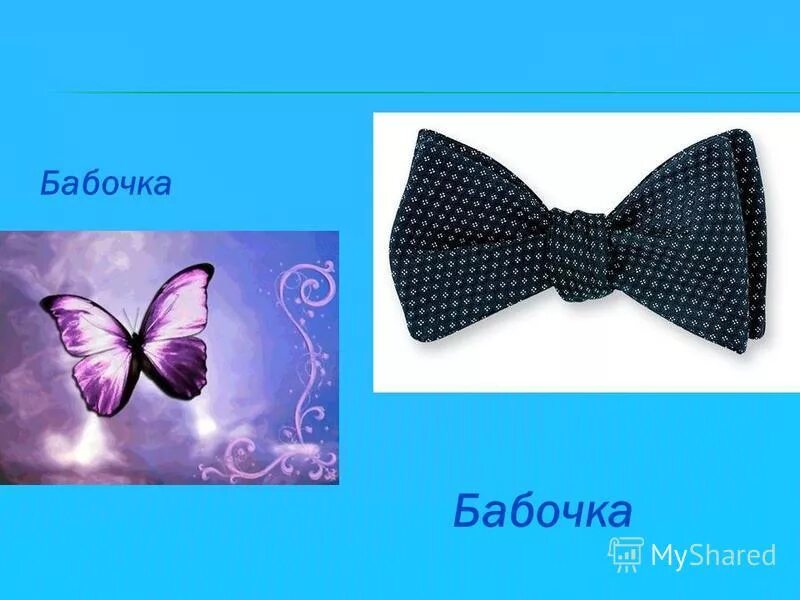 бабочка многозначное слово. насекомые. предложение со словом бабочка. наши проекты слово бабочка. карточки для детей.