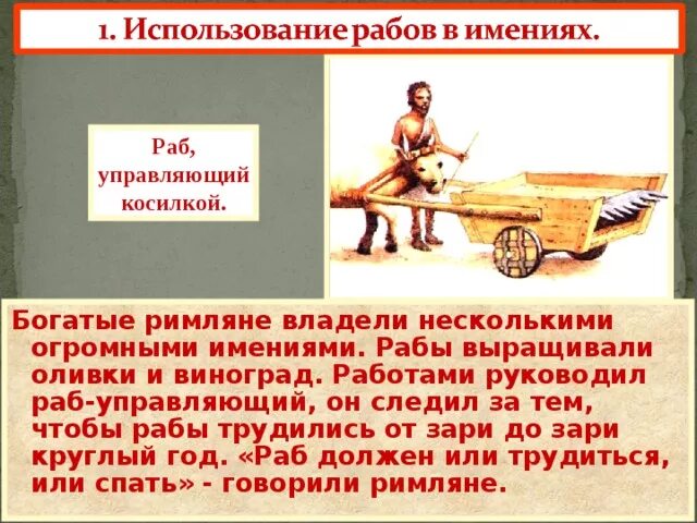 Рабство в древнем риме 5 класс конспект. Рабство 5 история 5 класс. Рабство в древнем мире 5 класс. Что делали рабы в имениях в древнем Риме. Что выращивали в Риме.