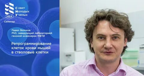 Врач волчков