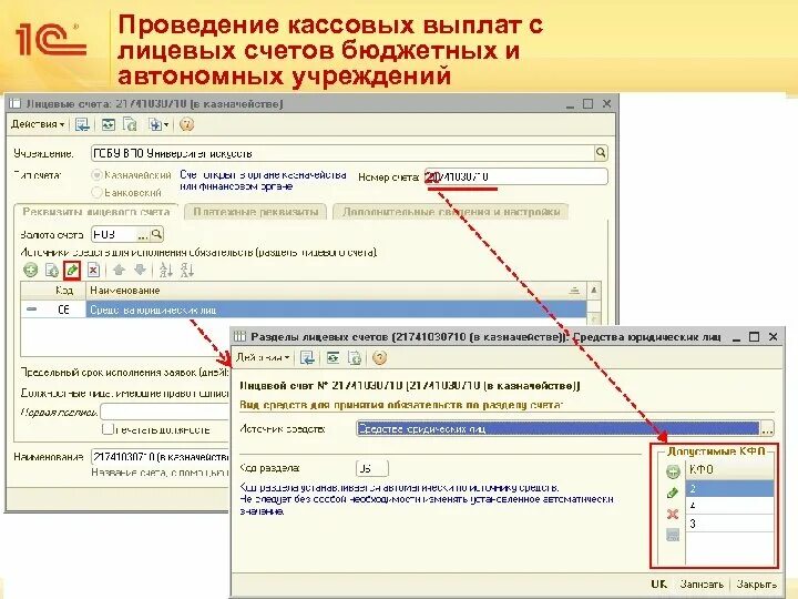 Проведение кассовых выплат. Лицевые счета бюджетных учреждений в казначействе. Аналитический код раздела на лицевом счете. Код лицевого счета бюджетного учреждения.