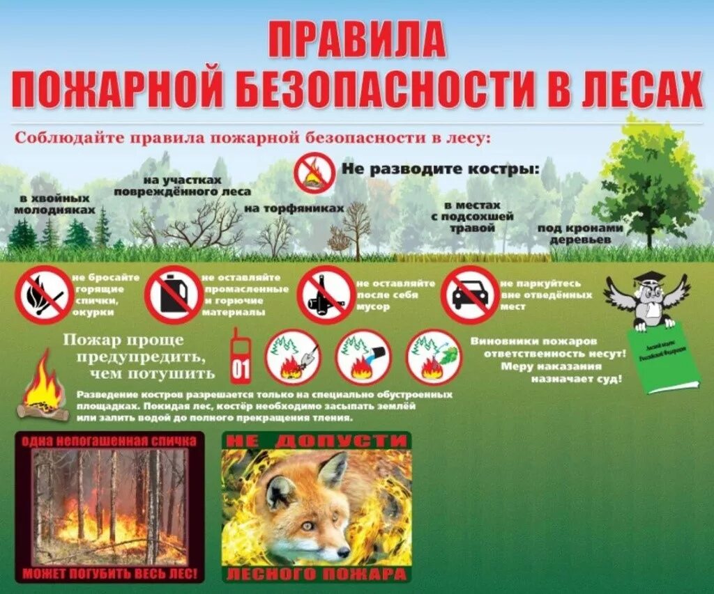 Пожарная безопасность в лесу для детей. Памятка противопожарная безопасность в лесу. Правила Лесной пожарной безопасности. Памятка берегите лес от пожара для детей. Требования пожарной безопасности в лесах.