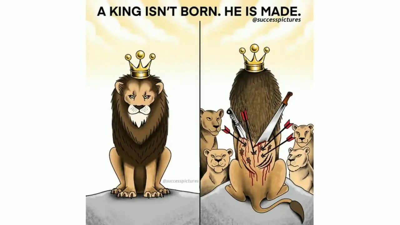 King are born 1990. Born is the king. Born is the king. Золотой лев прайд. Born to be king.