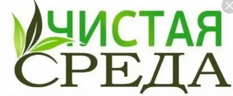 Среда сайт