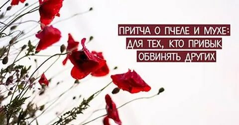 Притча пчеле