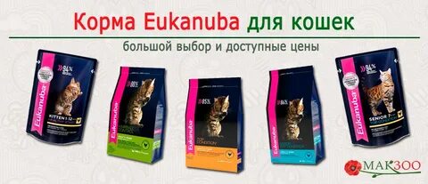 Корм для кунов котят