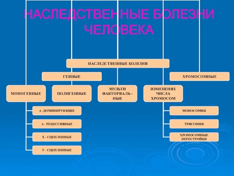 Наследственные заболевания. Кинетическое заболевание. Наследственные заболевания. Наследственные заболевания примеры. Ненаследственные заболевания человека.