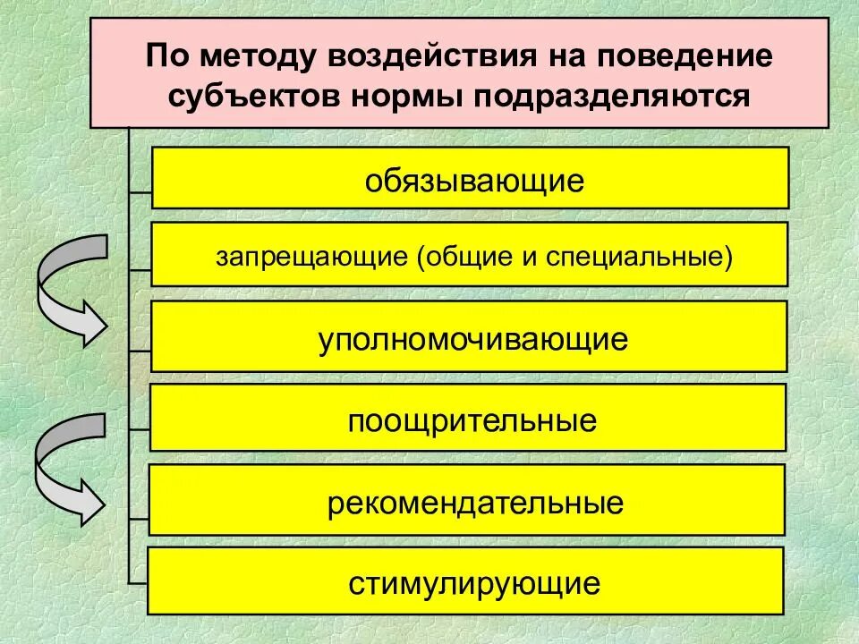 По методу воздействия на поведение субъектов нормы. Поведение и способы воздействия. Административно правовые нормы по методу воздействия. Административно-правовые нормы подразделяются на.