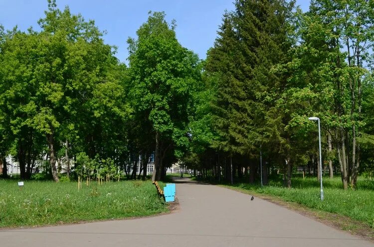 Отдых с детьми в центре Кирова Прогулка с ребенком по исторической части областн
