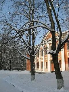 Школа 23 калуга