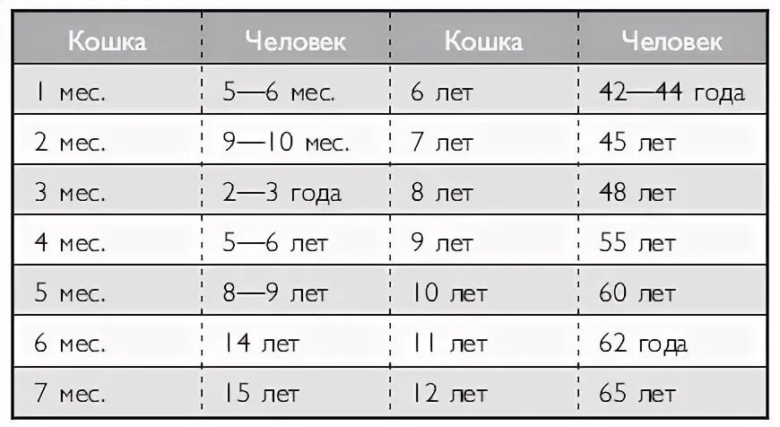 Кошачьи года к человеческим. Кошачий Возраст. Возраст кошки по человеческим. Кошачьи года по человеческим. Кошачий Возраст по человеческим.