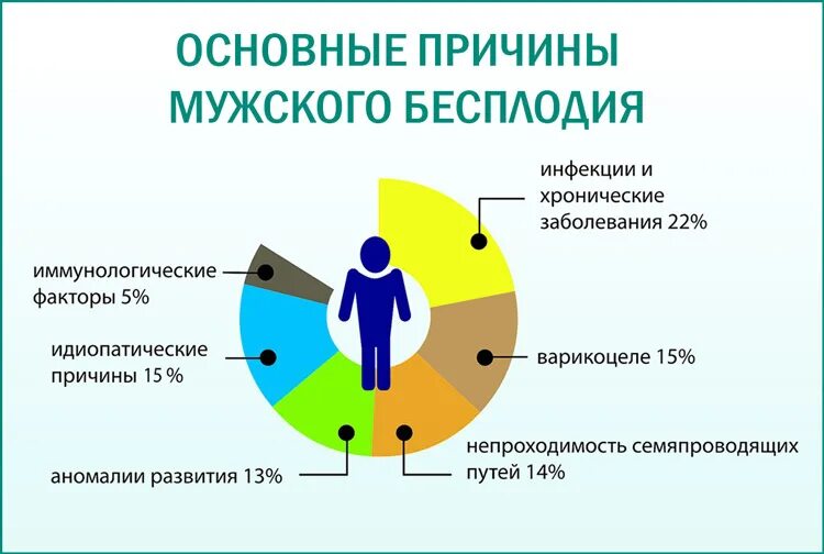 Причины бесплодия. Причины мужского бесплодия. Причины бесплодия у мужчин. Основные причины бесплодия у мужчин. Бесплодие у мужчин причины