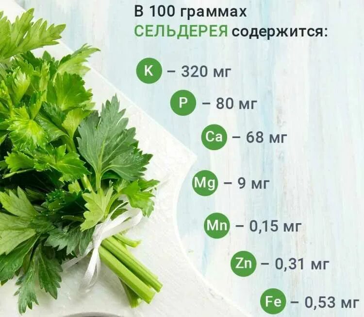 Программа зелень
